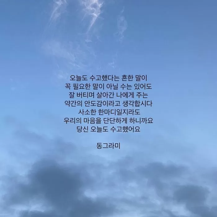 인사이트