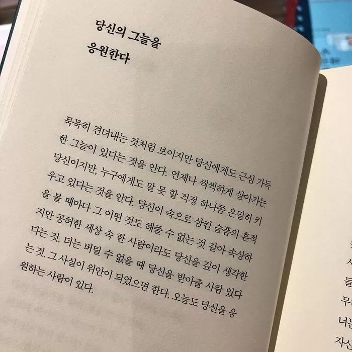 인사이트