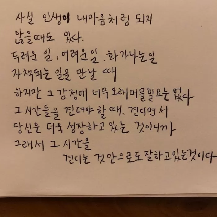 인사이트
