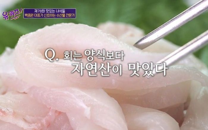 “‘양식vs자연산회’ 중 더 맛있는 것은?”···사람들 뒤통수 때리는 의외의 대답 내놓은 ‘수산물 전문가’