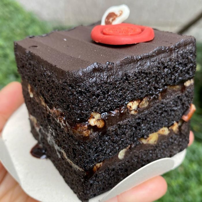 꾸덕꾸덕 초코에 다크초코크림 때려부은 스타벅스 ‘블랙 초콜릿 케이크’