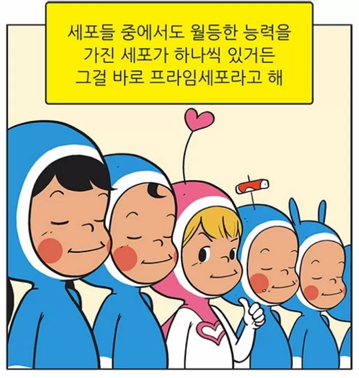 인사이트