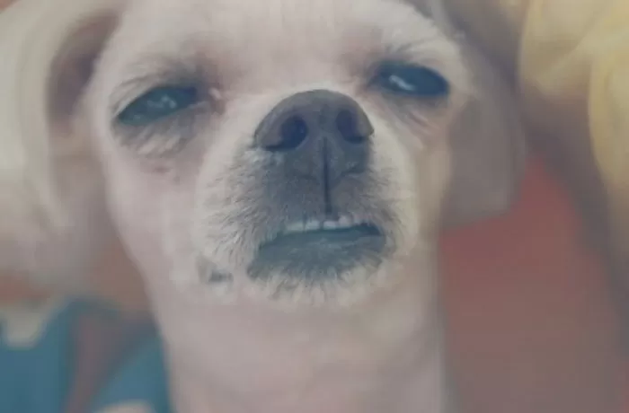 [HQ/시뮬] 모솔이어도 환승연애 나가고 싶어 [1] | 인스티즈