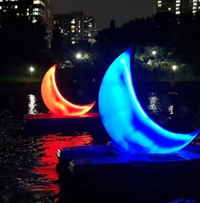 인사이트