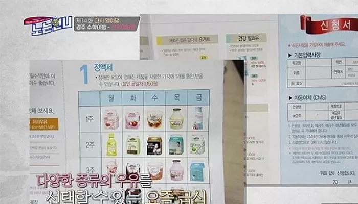 인사이트