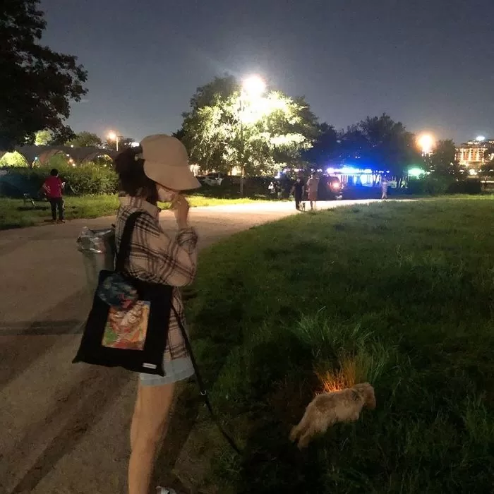 인사이트