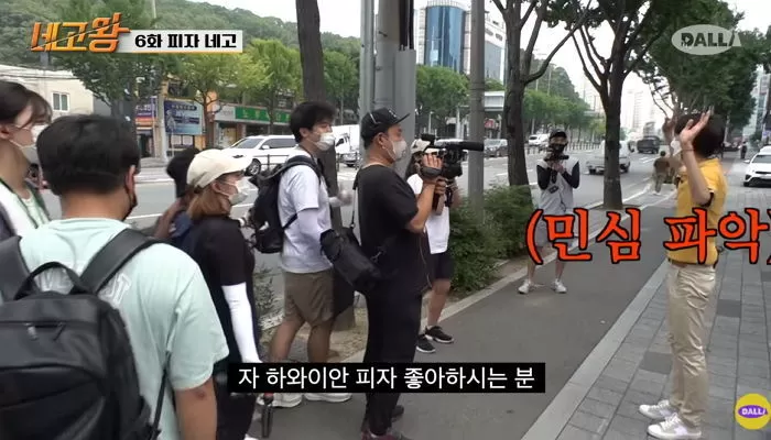 인사이트