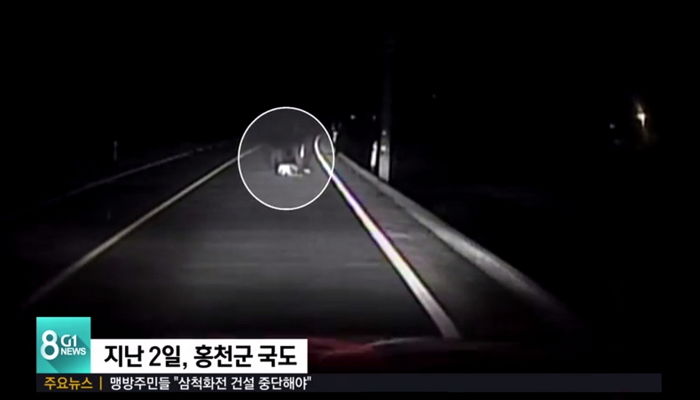 ‘음주운전’ 말리는 어머니를 차로 치어 숨지게 만든 아들