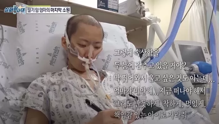 인사이트