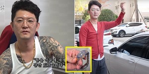 청산오리 이미지