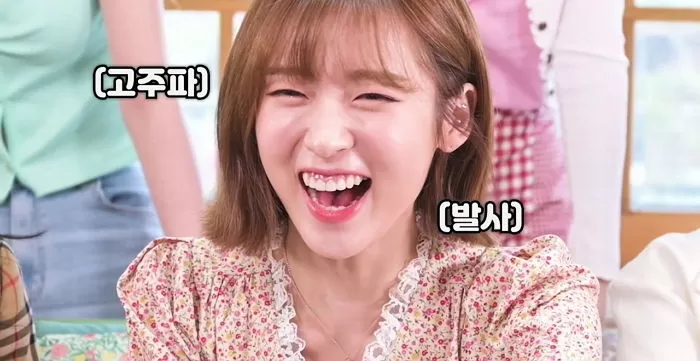 인사이트