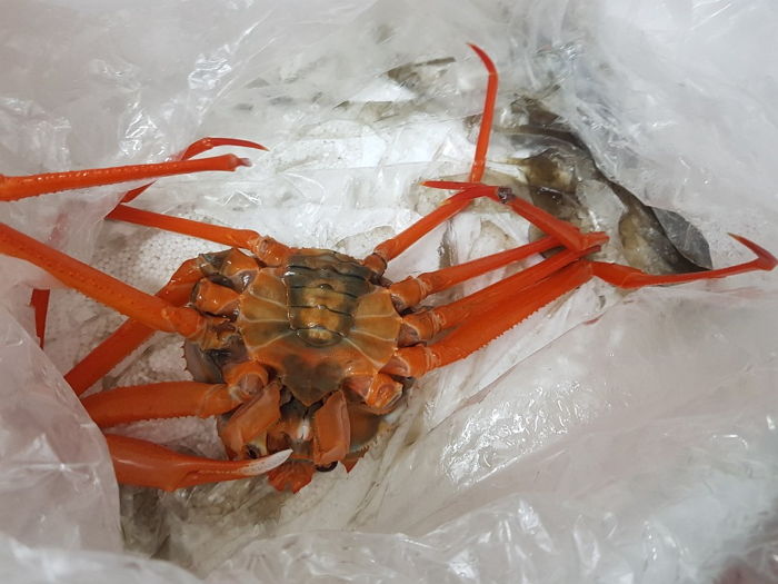 “카카오톡 쇼핑서 홍게를 시켰는데 ‘음식물 쓰레기’가 왔습니다”