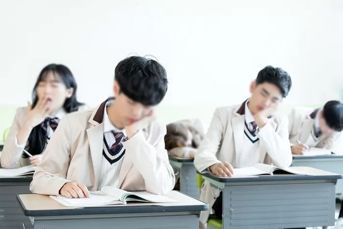 인사이트