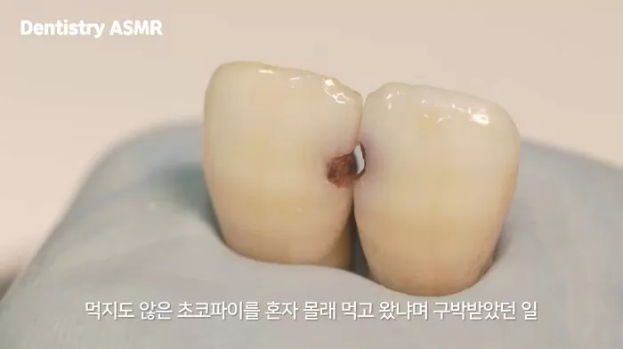 인사이트