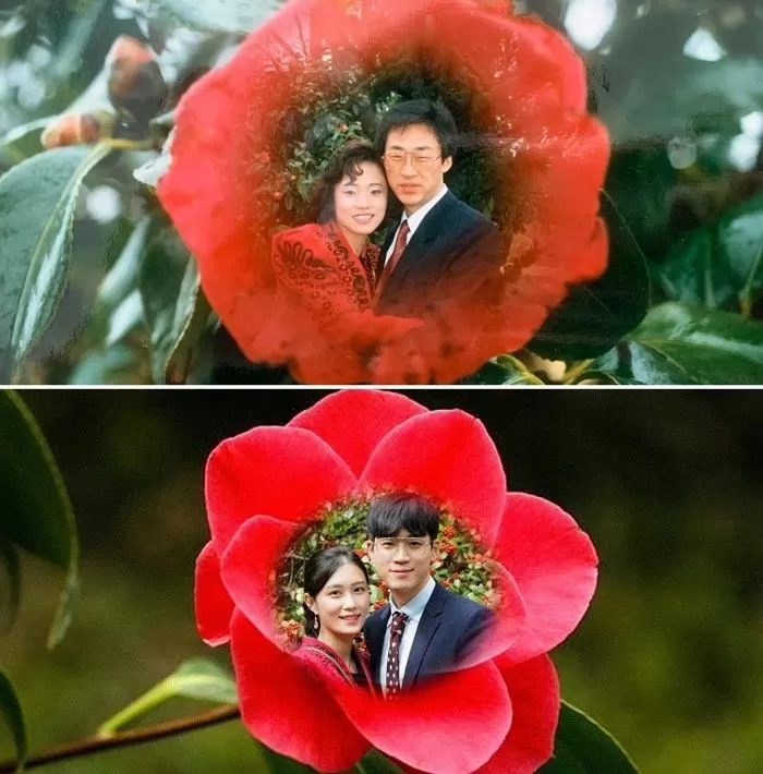 인사이트