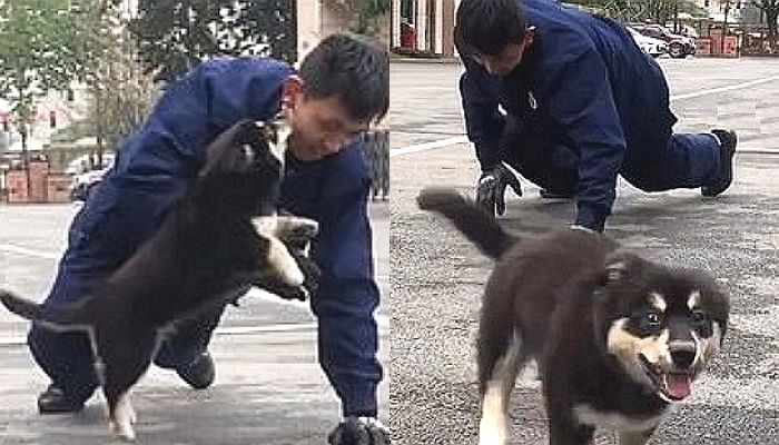 소방관 형아 힘내라고 ‘뽀뽀 쪽’ 하고 부끄러워 ‘후다닥’ 도망가는 댕댕이