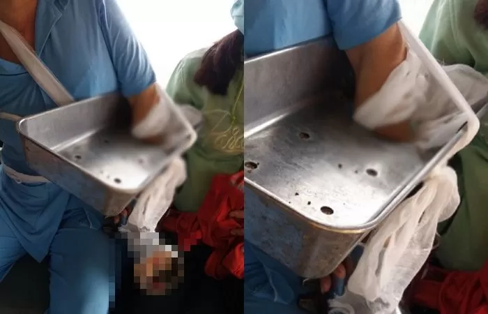 전원정육점 이미지