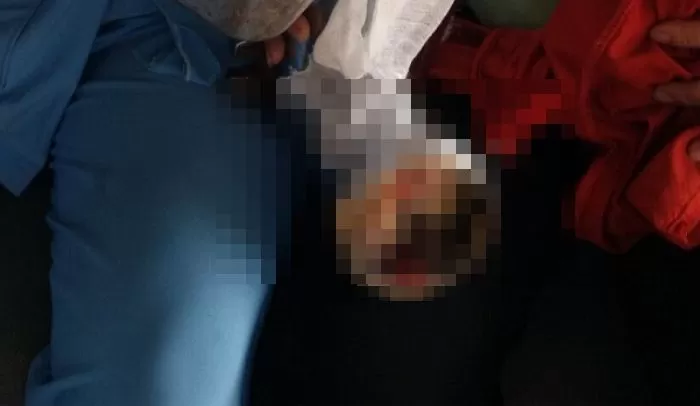 전원정육점 이미지