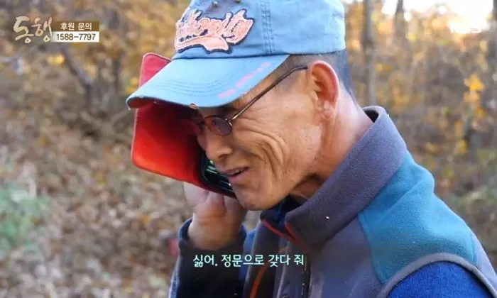 인사이트