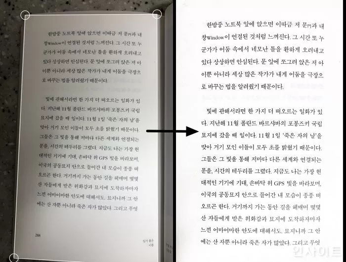 인사이트