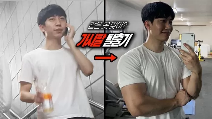 인사이트
