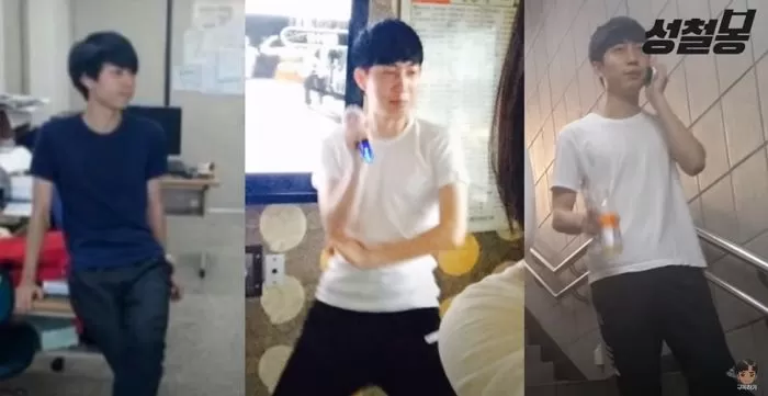 인사이트