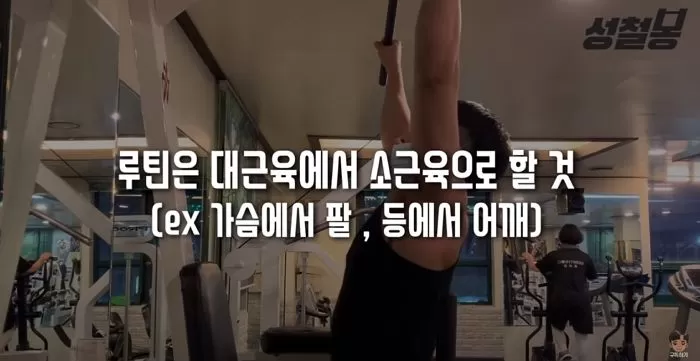 인사이트