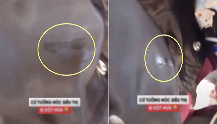 “천장에서 물 떨어져 쳐다봤더니 과자 먹고 싶은 강아지가 군침 흘리고 있었습니다”