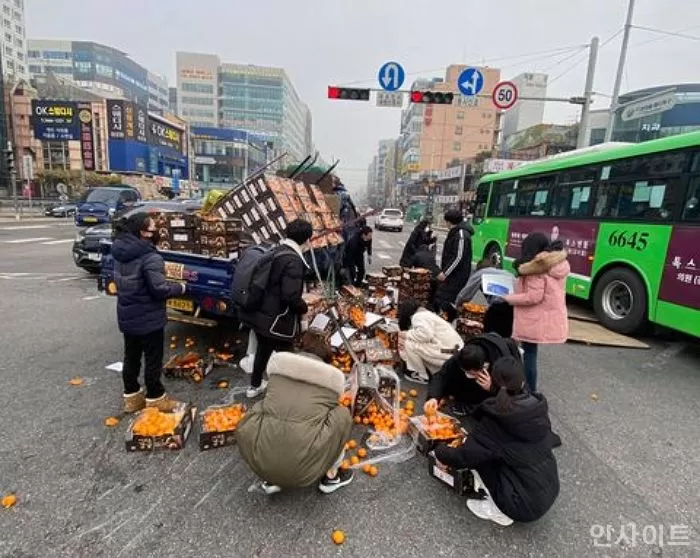 인사이트
