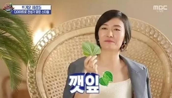 인사이트