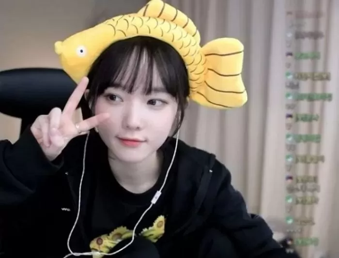 인사이트