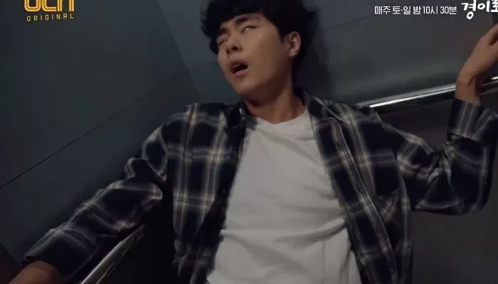 인사이트