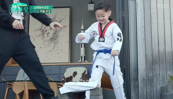 인사이트