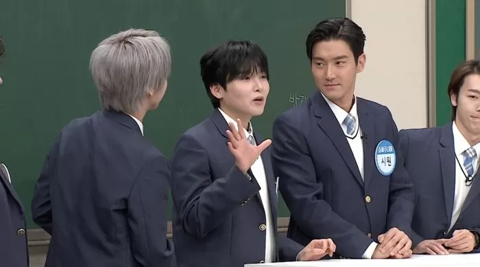 인사이트