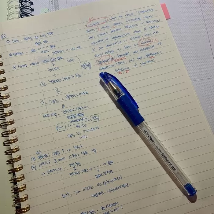 인사이트