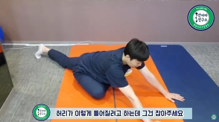 인사이트