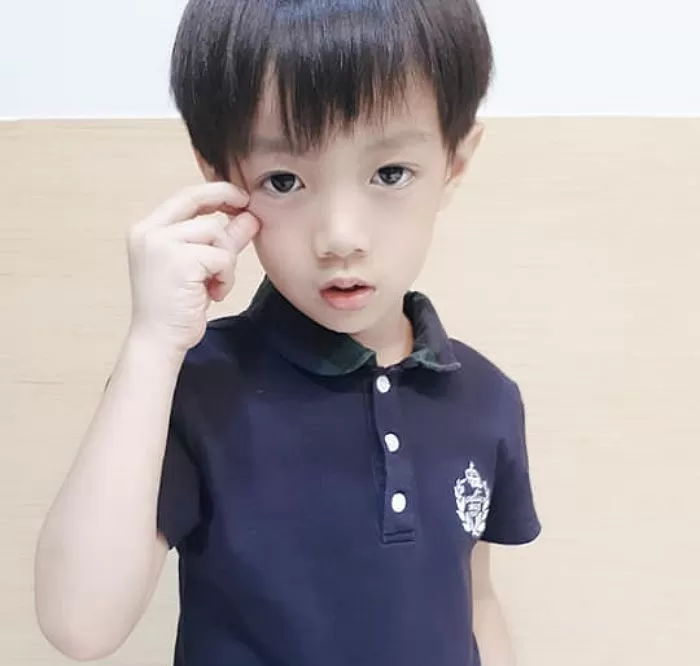 인사이트