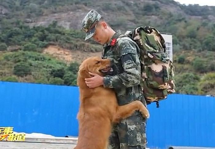“아빠 가지 마” 군인 아빠 제대하는 날 뒤따라가 허리 끌어안고 우는 군견 (영상)