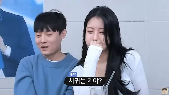 인사이트