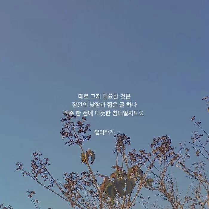 인사이트