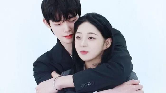 인사이트
