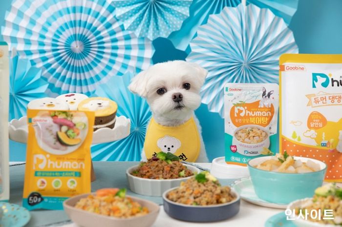 듀먼 등 펫코노미 업계, 반려동물 라이프스타일에 맞춘 제품으로 소비자 눈길