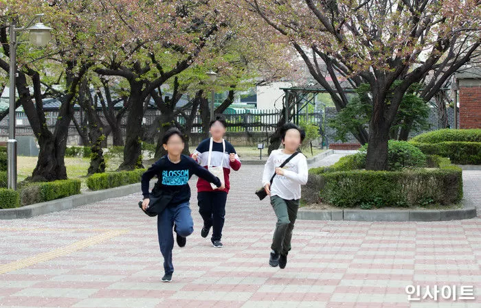 인사이트