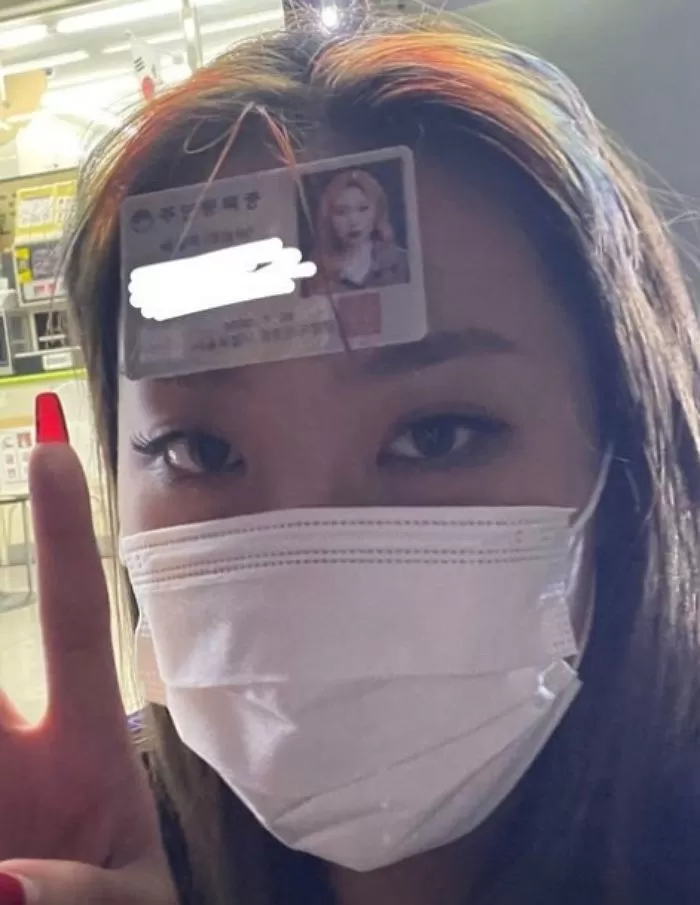 인사이트