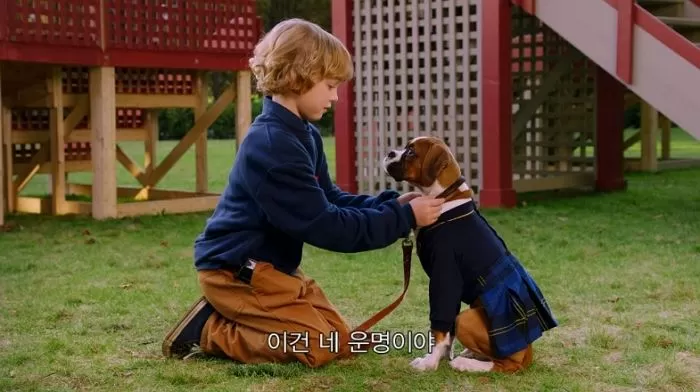 인사이트