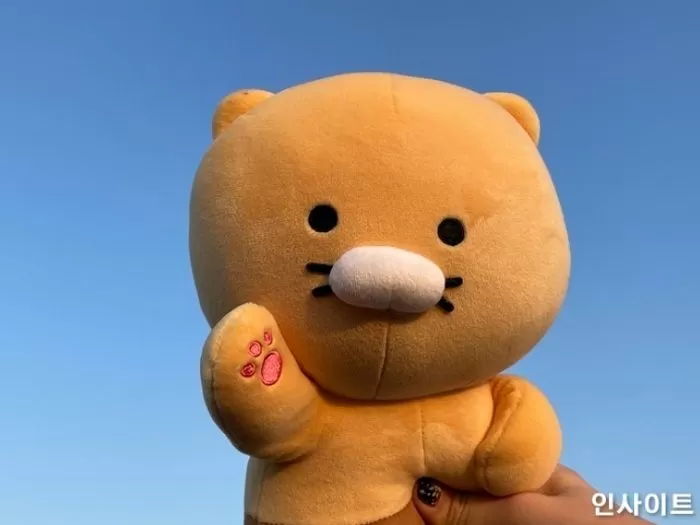 인사이트