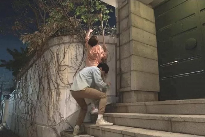 인사이트