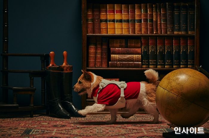 아르르X폴로 랄프 로렌, 새해맞이 반려견 선물세트 공개