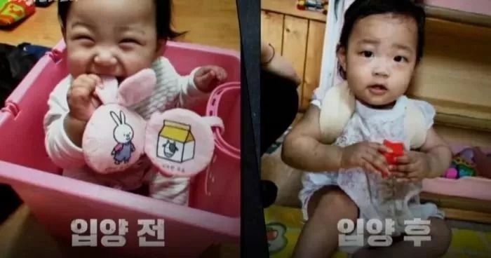 정인이 양부모, 부동산 때문에 아이 입양했다는 의혹 나왔다