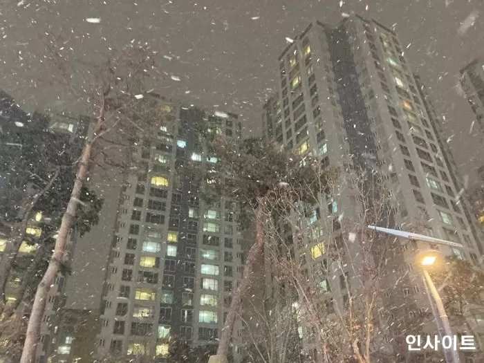 인사이트